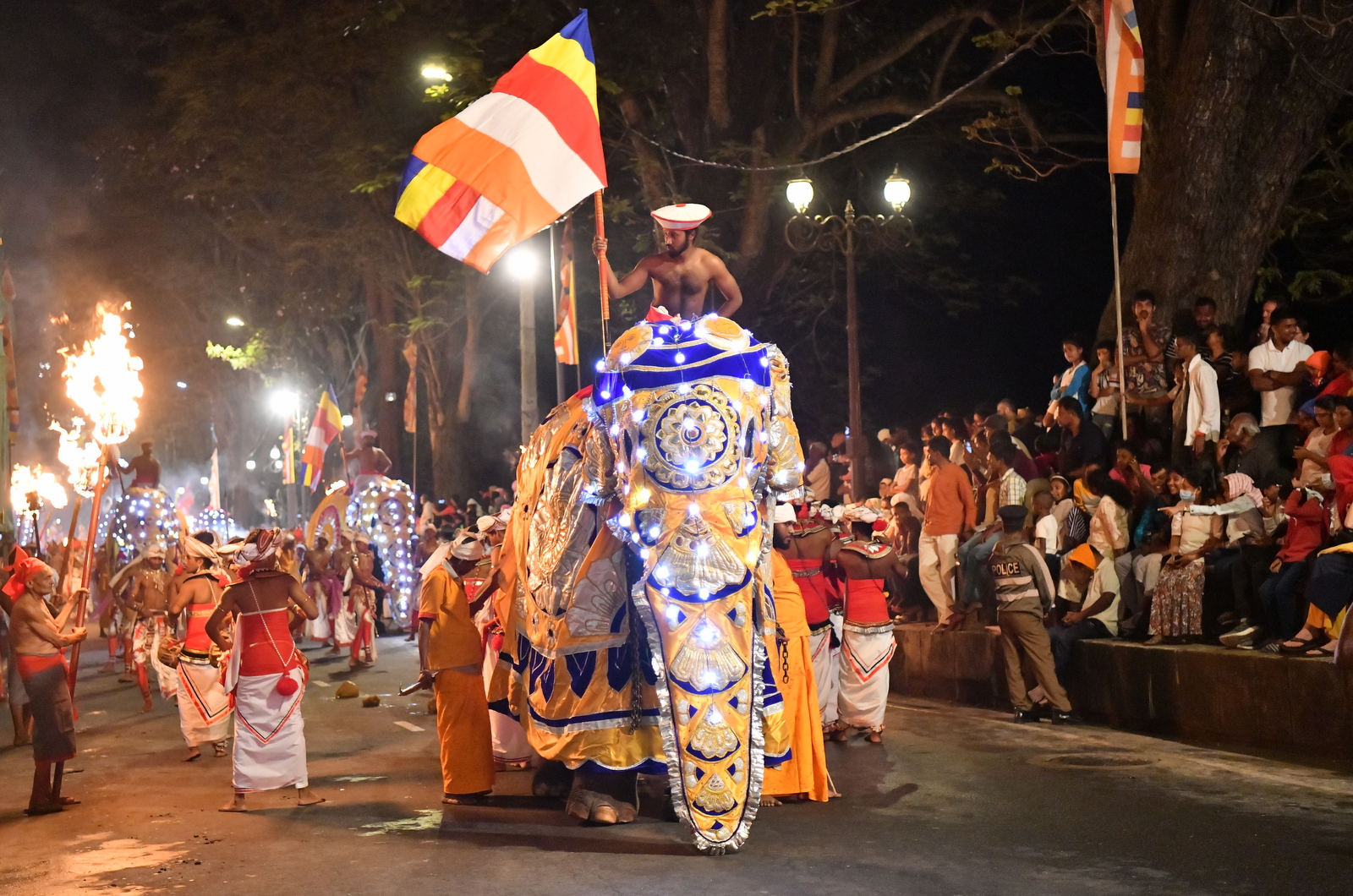 Tusker Kandula carries emblem of ‘Janaraja Perahara’ (Pics) – Sri Lanka ...