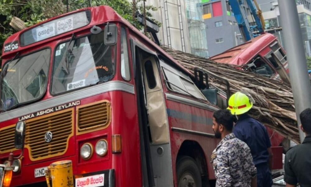 Tree Falls On Bus In Kollupitiya Killing 5 & Injuring 17 – Sri Lanka ...