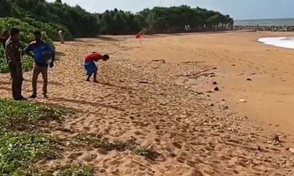 Suspected drug parcel washes ashore in Katukurunda Suspected drug parcel washes ashore in Katukurunda