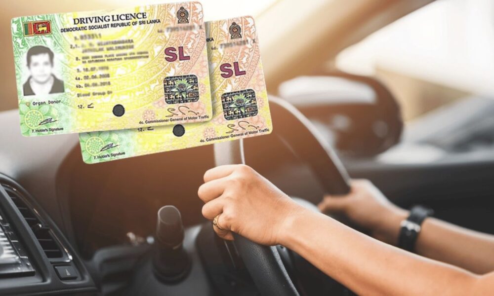 Driving licenses to be issued online before April New Year